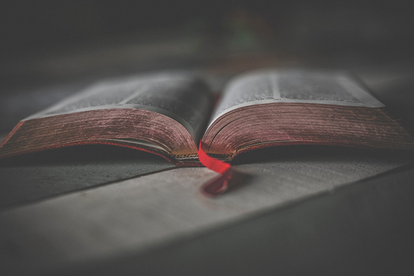 "The Message of the Bible"