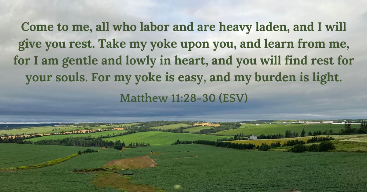 "The Jesus Way: Bearing Burdens"